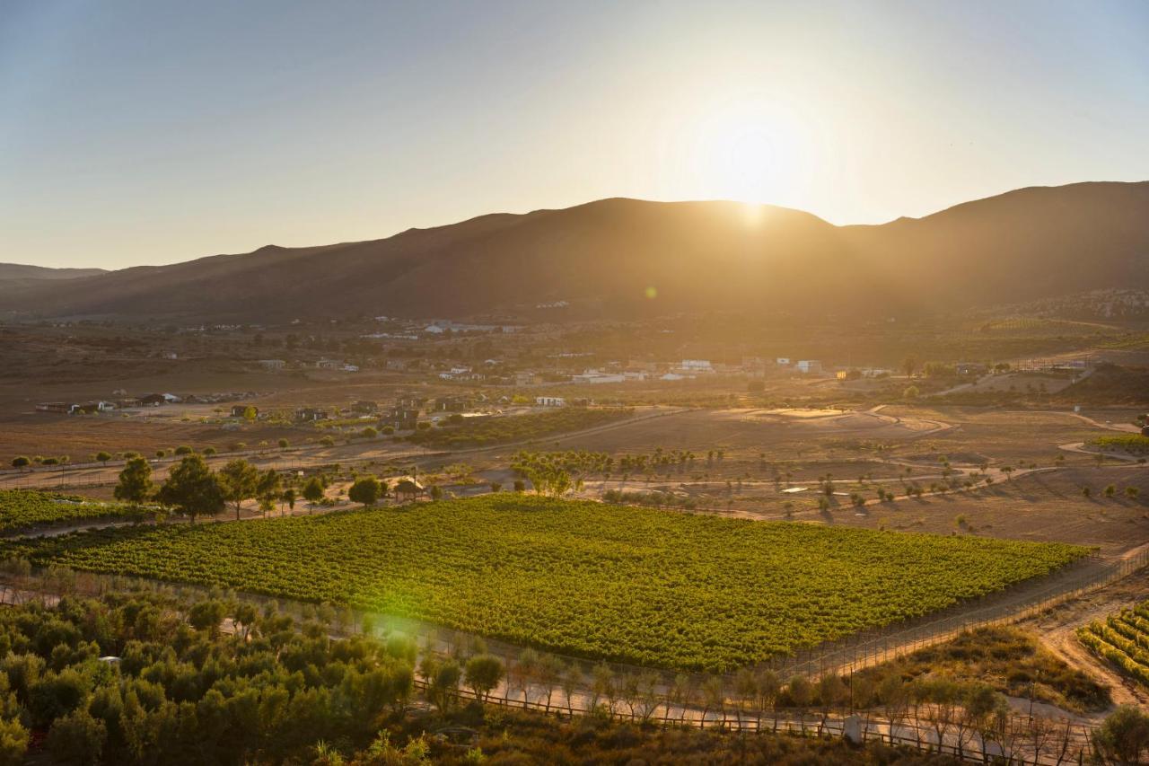 Banyan Tree Veya, Valle De Guadalupe - A Wellbeing & Wine Resort Zewnętrze zdjęcie