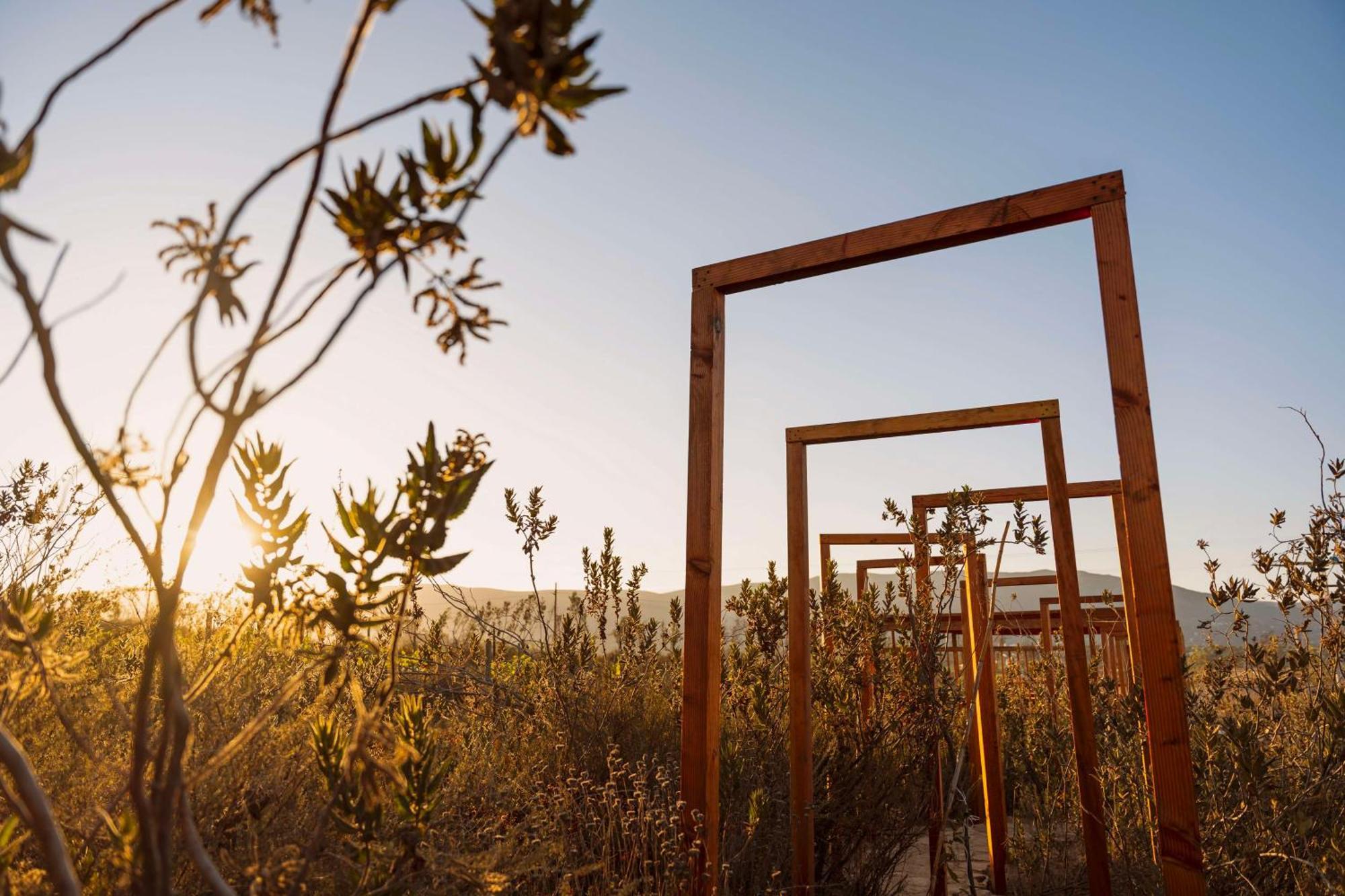 Banyan Tree Veya, Valle De Guadalupe - A Wellbeing & Wine Resort Zewnętrze zdjęcie